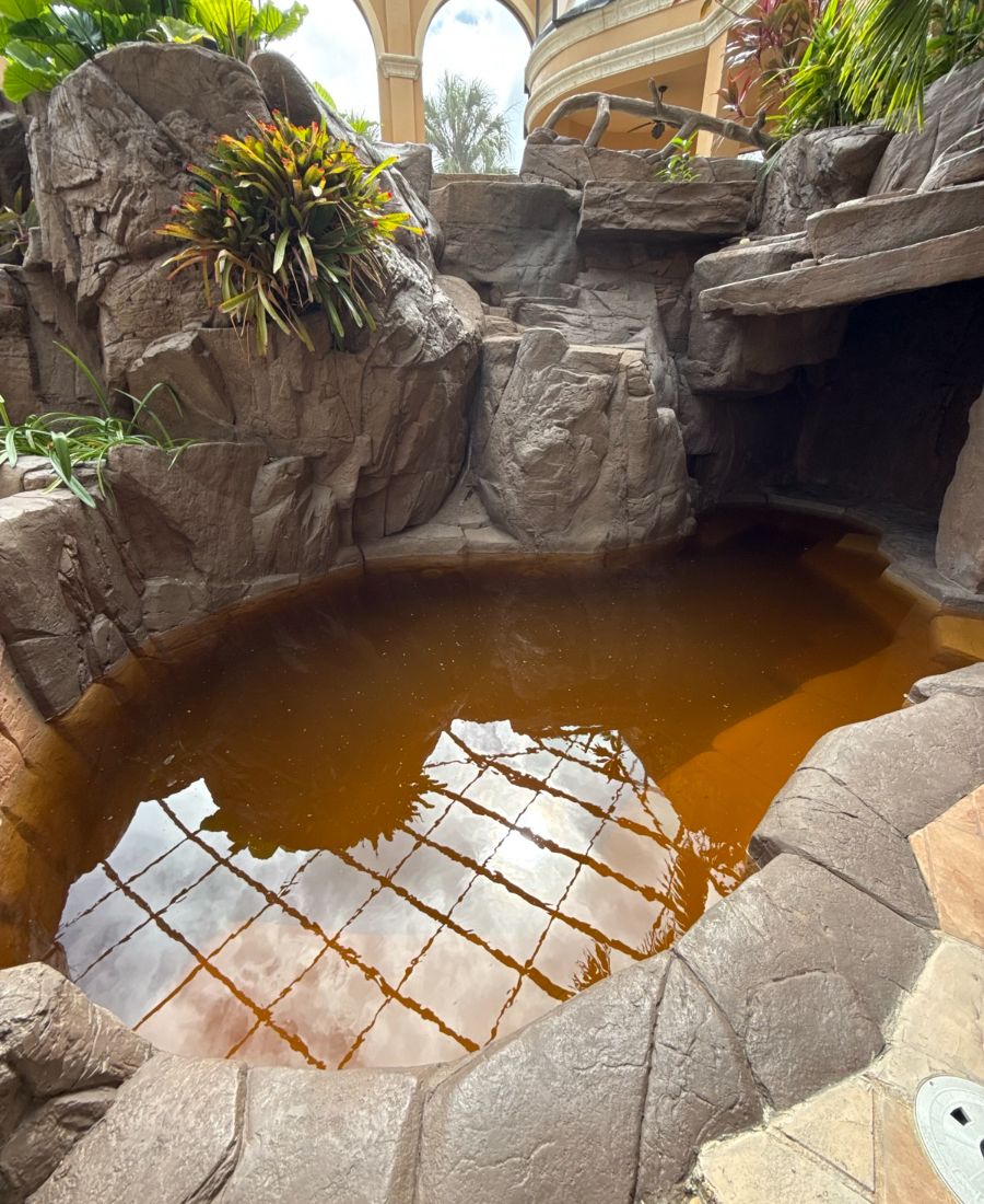 Before: Hurricane affected pool