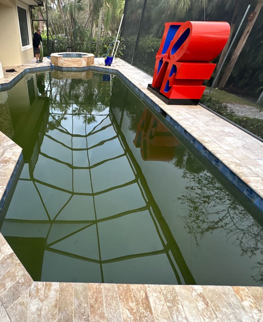 Before: Hurricane affected pool